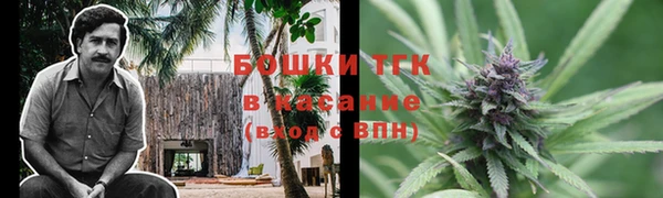 ECSTASY Гусь-Хрустальный