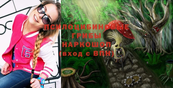 ПСИЛОЦИБИНОВЫЕ ГРИБЫ Горняк