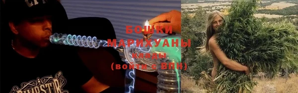 мдпв Горнозаводск