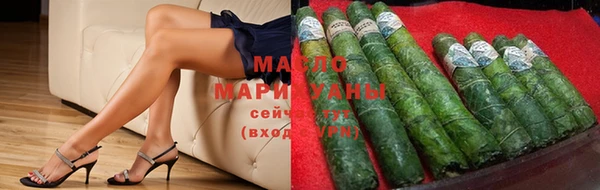 ECSTASY Гусь-Хрустальный