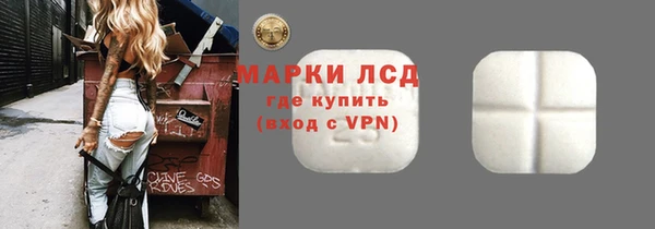 ПСИЛОЦИБИНОВЫЕ ГРИБЫ Горняк