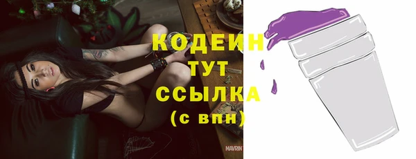 ПСИЛОЦИБИНОВЫЕ ГРИБЫ Горняк