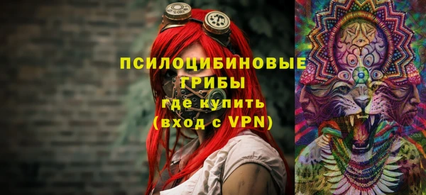 мдпв Горнозаводск