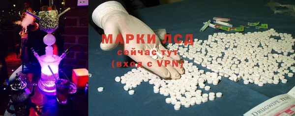 ПСИЛОЦИБИНОВЫЕ ГРИБЫ Горняк
