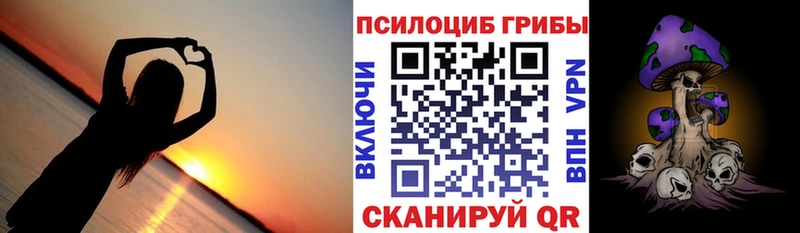 Псилоцибиновые грибы Cubensis  Купить закладки  Белогорск 
